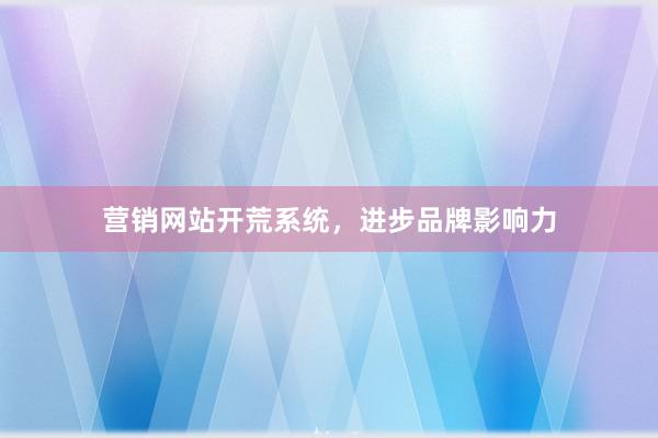 营销网站开荒系统，进步品牌影响力